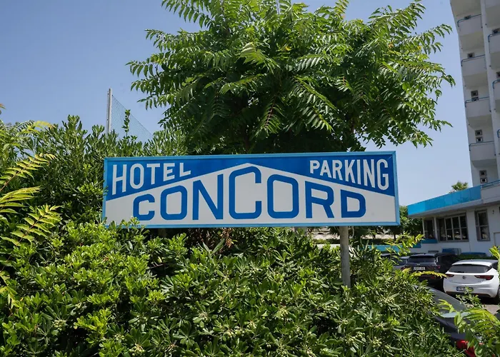 Concord Hotel 3*